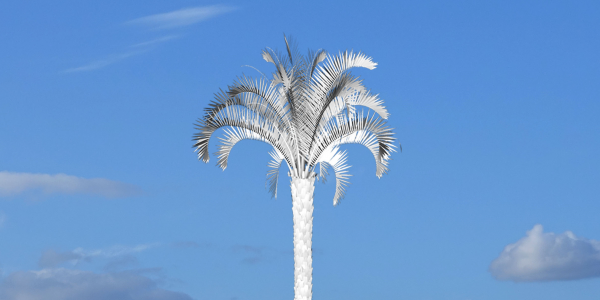 White Palm image