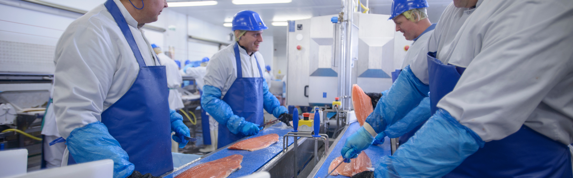 People working in a fish factory.