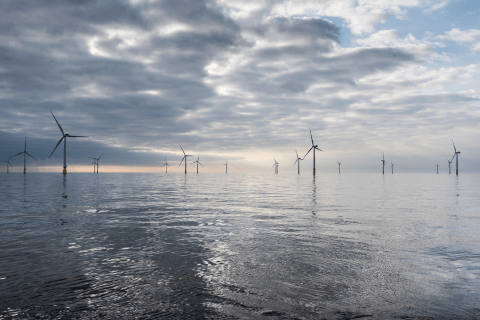 Wind turbines providing renewable energy.