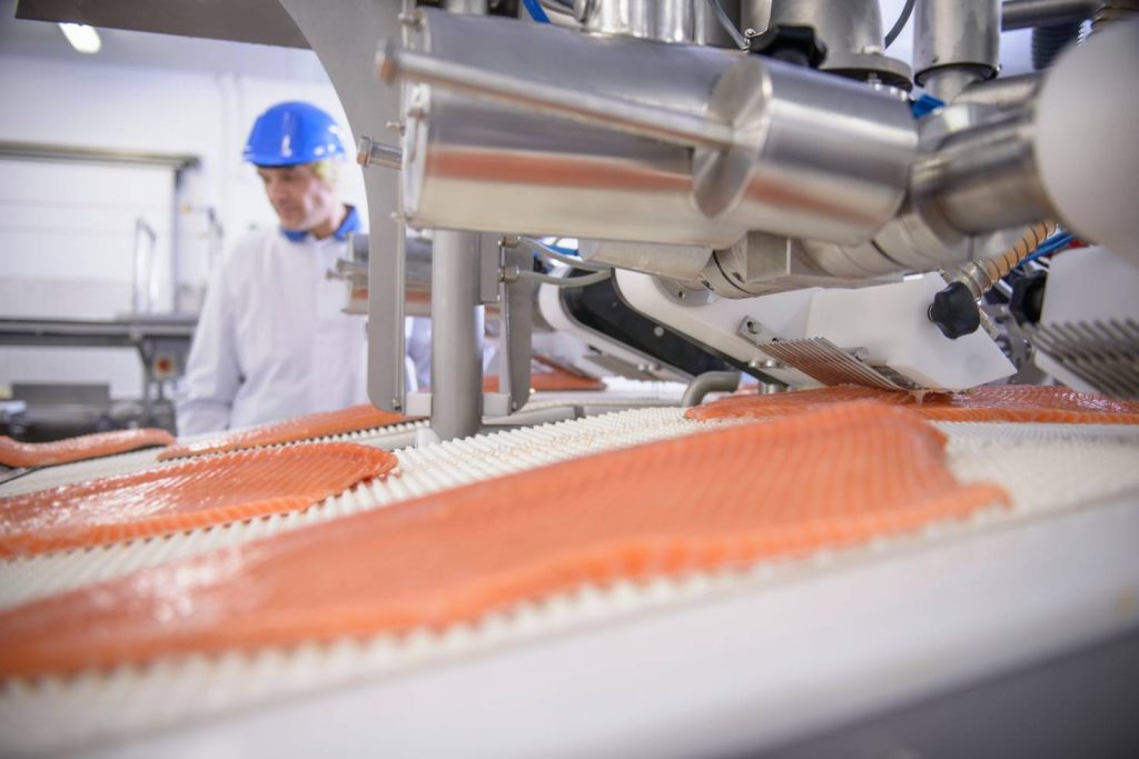 salmon food manufacturing
